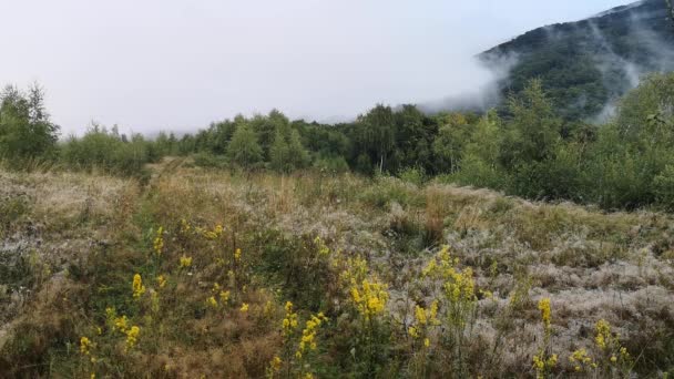 山の中で夏の夜の霧の風景の時間のラップ — ストック動画