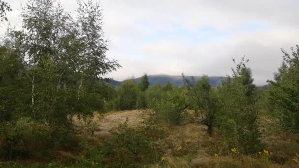 Giri Tempo Paesaggio Nebbioso Una Serata Estiva Montagna — Video Stock