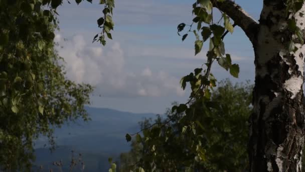 Paisaje Soleado Las Tierras Altas Finales Del Verano — Vídeos de Stock