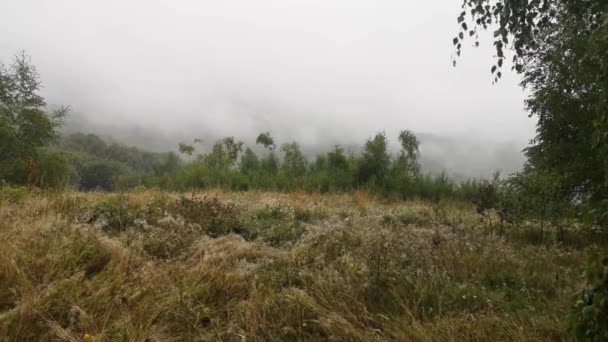 Nebellandschaft Eines Sommerabends Den Bergen — Stockvideo