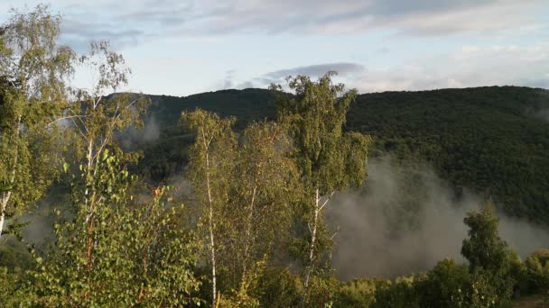 Paisaje Brumoso Una Noche Verano Las Montañas — Vídeo de stock