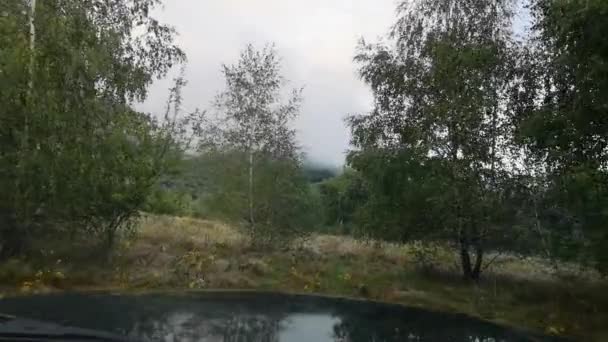 雨の中でカルパティア山脈の霧深い森をSuvがドライブ — ストック動画