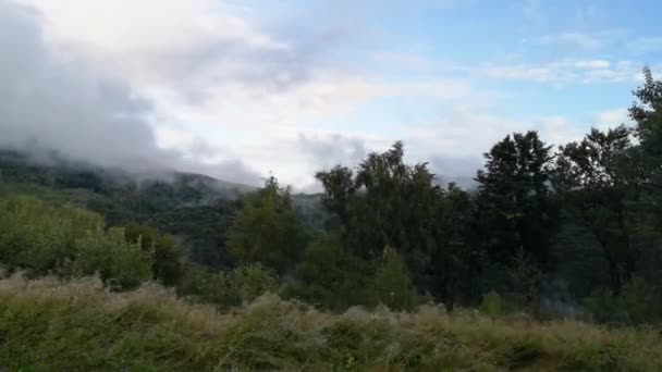 Suv Attraversa Foresta Nebbiosa Dei Carpazi Sotto Pioggia — Video Stock