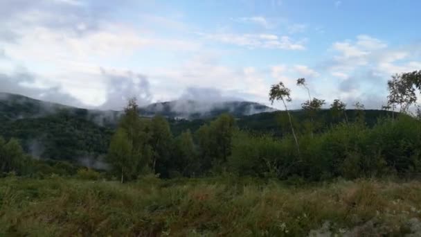 Ein Geländewagen Fährt Regen Durch Den Nebligen Wald Der Karpaten — Stockvideo