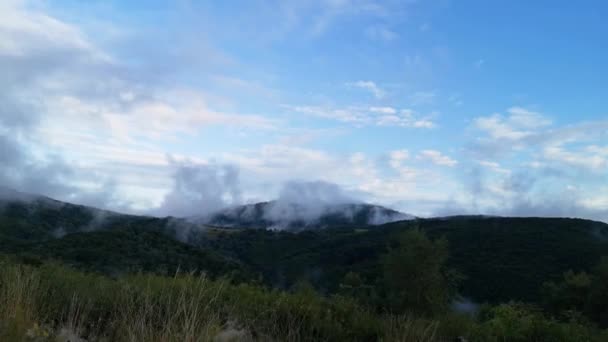 Suv Conduce Través Del Bosque Brumoso Las Montañas Cárpatos Lluvia — Vídeos de Stock