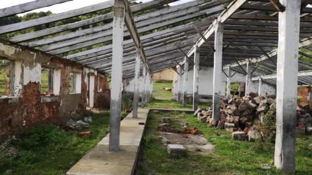 Egy Elhagyatott Farm Leromlott Épülete Fent Hegyekben — Stock videók