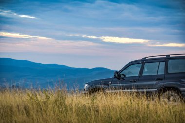 SUV yazın Karpatlar 'da seyahat eder.