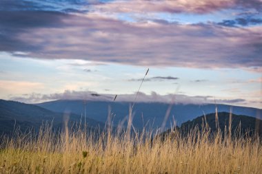 Yazın sonlarında dağlık arazi güneşli olur.