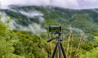 Karpat Dağları 'ndaki bir yaz manzarasının videosu.