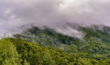Dağlarda sisli bir yaz akşamı manzarası