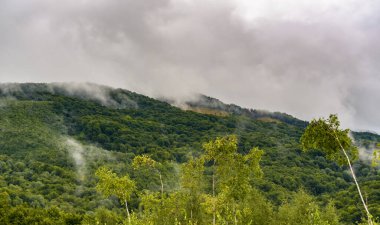 Dağlarda sisli bir yaz akşamı manzarası