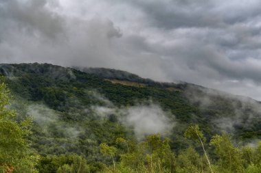 Dağlarda sisli bir yaz akşamı manzarası