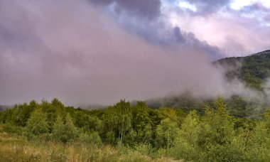 Dağlarda sisli bir yaz akşamı manzarası