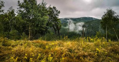Dağlarda sisli bir yaz akşamı manzarası