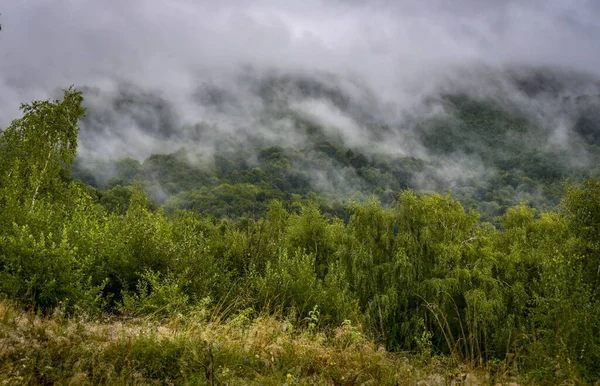 Mlhavá Krajina Letního Večera Horách — Stock fotografie