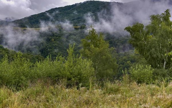 Ομιχλώδες Τοπίο Καλοκαιρινής Βραδιάς Στα Βουνά — Φωτογραφία Αρχείου