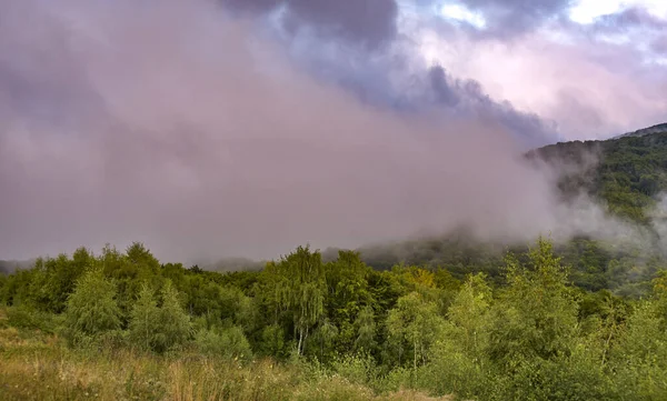 Dağlarda sisli bir yaz akşamı manzarası