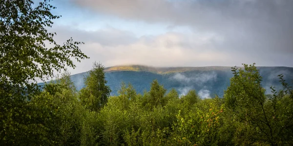 Nebellandschaft Eines Sommerabends Den Bergen — Stockfoto