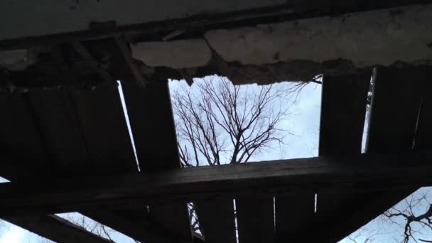 Une Maison Abandonnée Délabrée Dans Forêt — Video