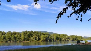 Kaplan yusufçuk bir dağ nehrinin kıyısında uçar.