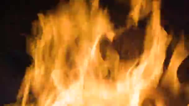 炉の中で燃える炎 — ストック動画