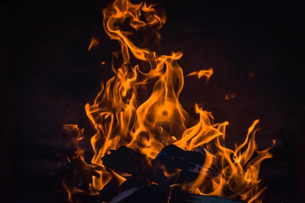 Beautiful Fire Burns Hearth — Stock Photo, Image