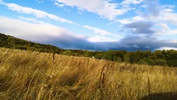 Suv Podróżuje Jesienią Karpatach — Wideo stockowe