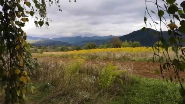 Herbstliche Landschaft Des Sonnenuntergangs Tal Der Karpaten — Stockvideo