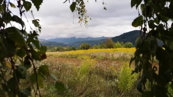 喀尔巴阡山脉谷地秋天的日落景观 — 图库视频影像