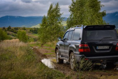 SUV sonbaharda Karpatlar 'da seyahat eder.
