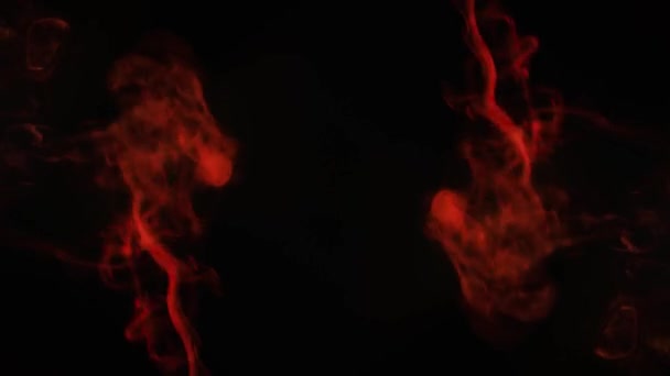Koyu Bir Arkaplanda Kırmızı Bir Demet Içinde Güzel Bir Duman — Stok video