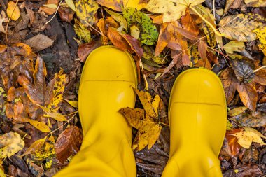 Düşen yaprakların arka planında sarı çizmeler