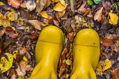 Düşen yaprakların arka planında sarı çizmeler