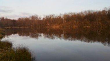 Ormandaki bir gölün kış manzarası