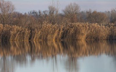 Gün batımında bir kış gölü manzarası