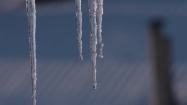 Güneşin ışınlarında eriyen buz sarkıtları
