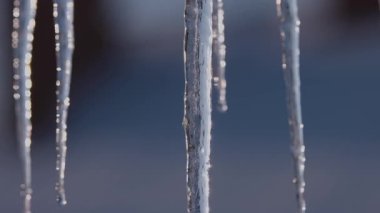 Güneşin ışınlarında eriyen buz sarkıtları