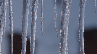 Güneşin ışınlarında eriyen buz sarkıtları