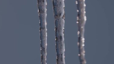 Güneşin ışınlarında eriyen buz sarkıtları