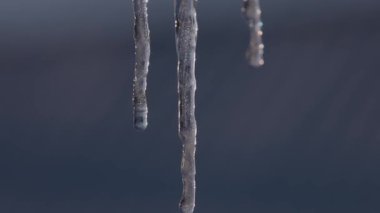 Güneşin ışınlarında eriyen buz sarkıtları