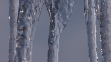 Güneşin ışınlarında eriyen buz sarkıtları