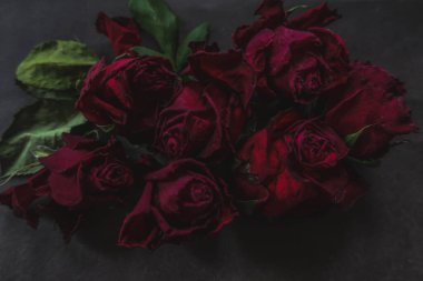 Kırmızı güller, güller, güller, güller, güller, güller, güller, güller, güller, güller, güller, güller.