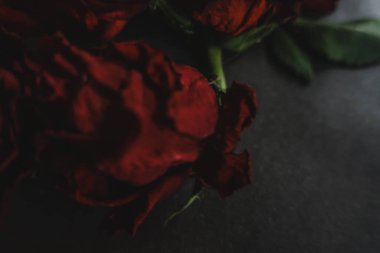 Kırmızı güller, güller, güller, güller, güller, güller, güller, güller, güller, güller, güller, güller.