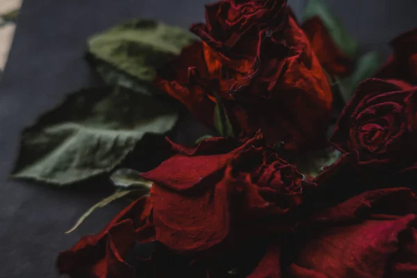 Червоні Троянди Троянди Сухі Квіти Квіткова Осінь Темно Чорний Вінтажний — стокове фото