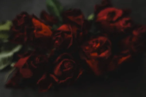 Kırmızı Güller Güller Güller Güller Güller Güller Güller Güller Güller — Stok fotoğraf