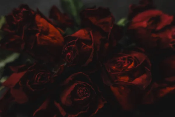 Czerwone Róże Rosa Suche Kwiaty Jako Kwiatowa Jesień Ciemny Czarny — Zdjęcie stockowe