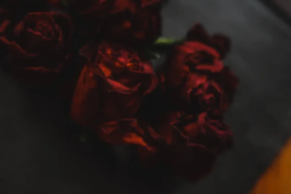 Rosas Vermelhas Rosa Flores Secas Como Floral Outono Escuro Preto — Fotografia de Stock