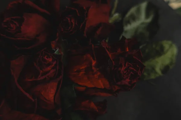 Mawar Merah Mawar Kering Bunga Sebagai Bunga Musim Gugur Gelap — Stok Foto