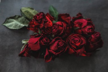 Kırmızı güller, güller, güller, güller, güller, güller, güller, güller, güller, güller, güller, güller.