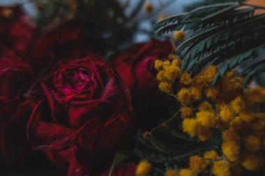 Kırmızı güller, güller, güller, güller, güller, güller, güller, güller, güller, güller, güller, güller.